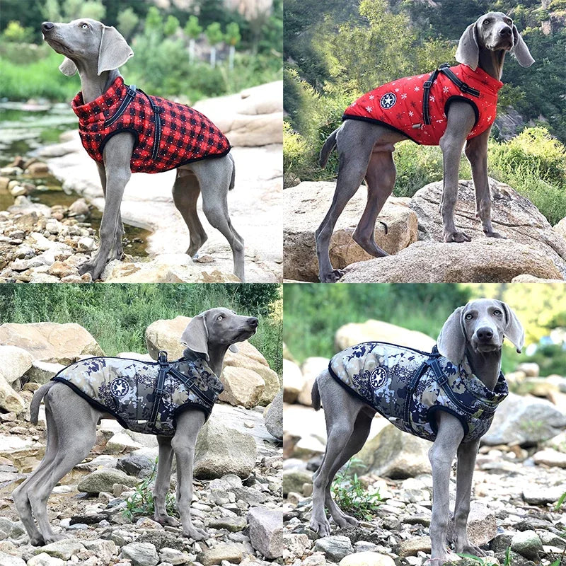 Pupper's Posh Winter Poncho: Because Even Big Dogs Need to Stay Stylishly Snug and Dry While Chasing Snowflakes!